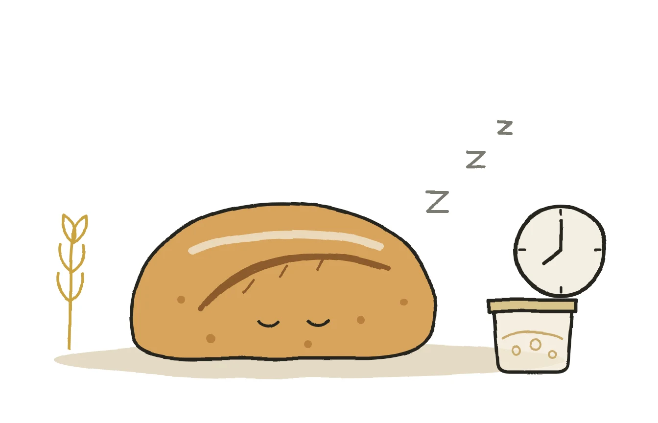 Why our sourdough takes its time